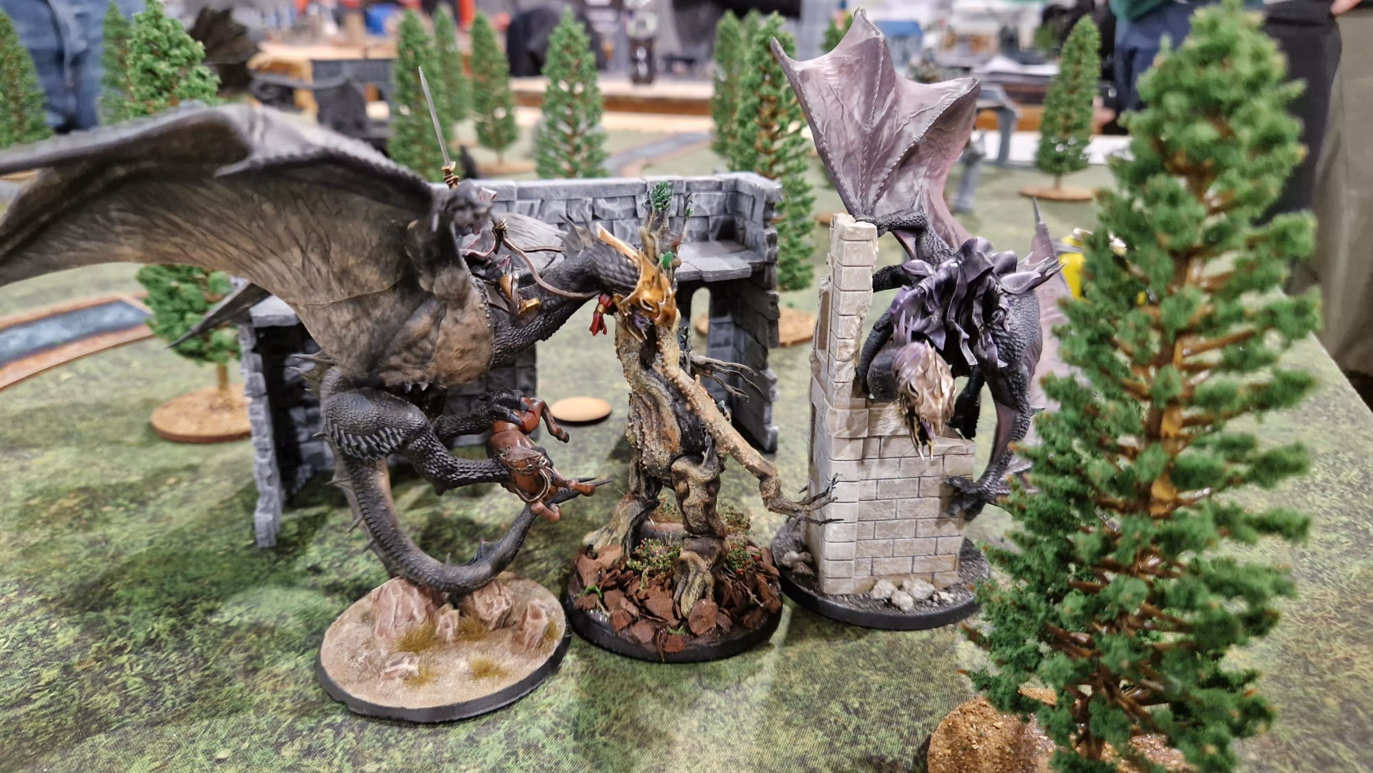 I took Wraiths on Wings to a Tournament for the first time...